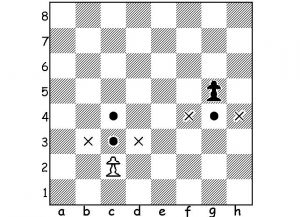 Peraturan permainan chess6
