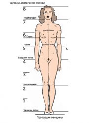 Žmogaus figūros proporcijos 1