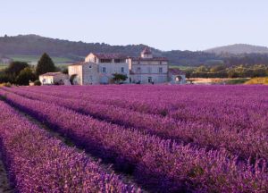 Provence France 8