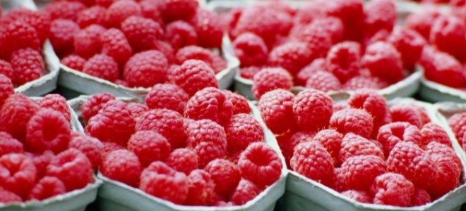Pengeluaran semula keratan raspberry pada musim luruh