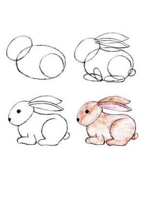 1 gambar kelinci untuk kanak-kanak