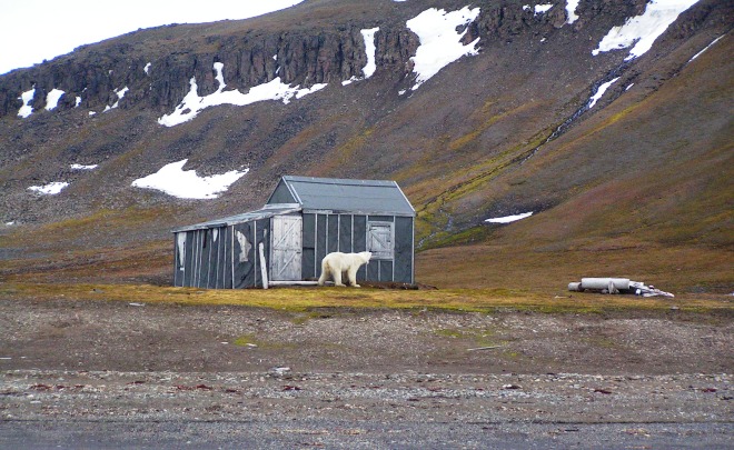 Barents Island