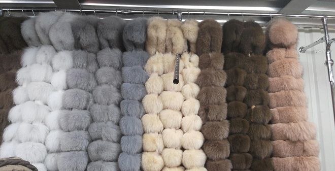 come scegliere una pelliccia dalla volpe polare