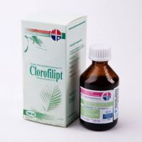 alkoholio chlorofilitas