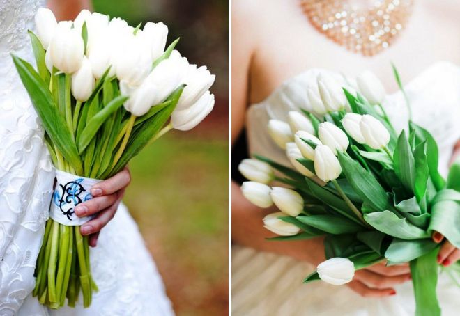 vestuvių puokštė baltų tulpių
