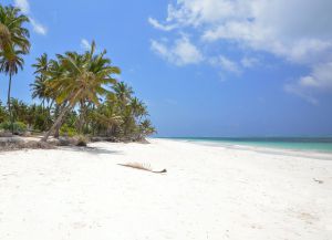 Tanzanijos paplūdimiai