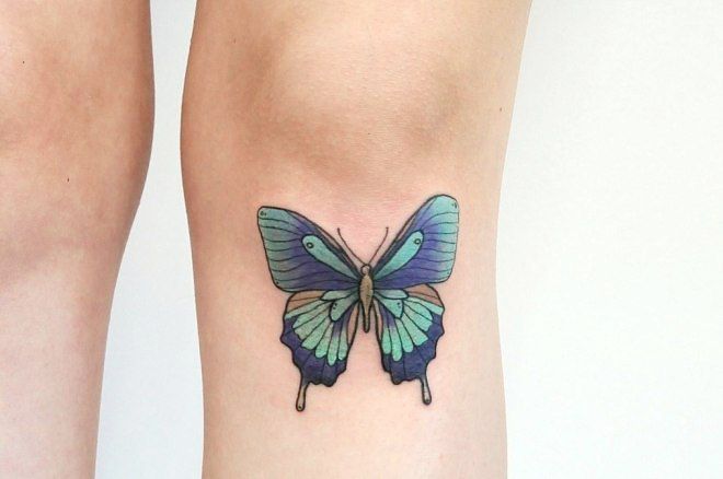 farfalla sulla gamba sotto il ginocchio