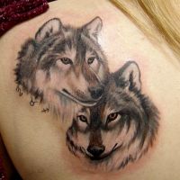 nilai serigala tatu