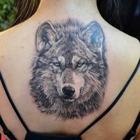 vilkų tatuiruotė reiškia vaikinams
