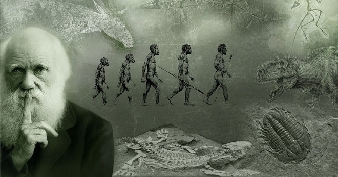 Darvino teorija - žmogaus kilmės teorijos įrodymai ir paneigimas
