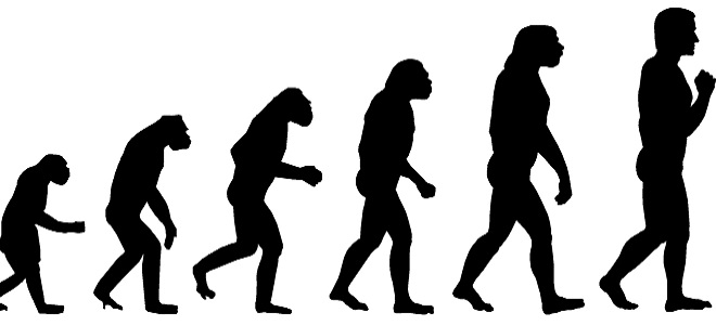 Darvino teorijos paneigimas