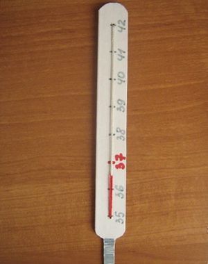 Thermometer diperbuat daripada kadbod sendiri7