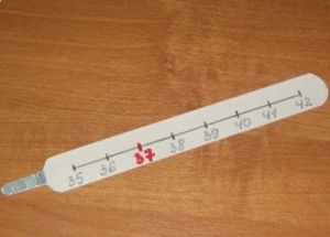 Thermometer diperbuat daripada kadbod dengan tangan sendiri8
