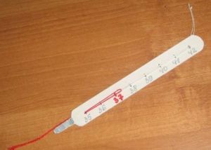 Thermometer diperbuat daripada kadbod 9