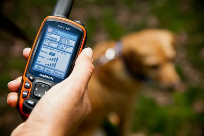 navigator gps untuk anjing