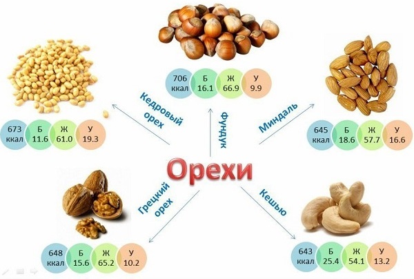 Quali sono gli alimenti più proteici?