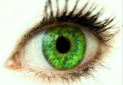 nilai warna mata hijau