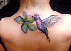 hummingbird tatuiruotės vertė