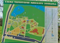 Zoologijos sodas Minske